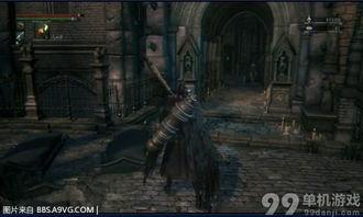 诅咒森林之女,探寻神秘女生的命运轨迹